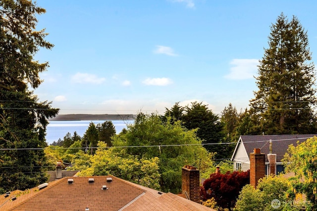 11515 Greenwood Ave N Unit C, Seattle, WA 98133 - water view