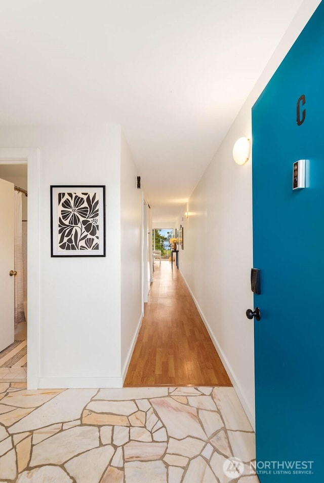 11515 Greenwood Ave N Unit C, Seattle, WA 98133 - corridor with light wood finished floors