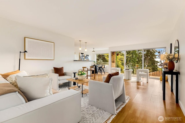 11515 Greenwood Ave N Unit C, Seattle, WA 98133 - living room with wood finished floors