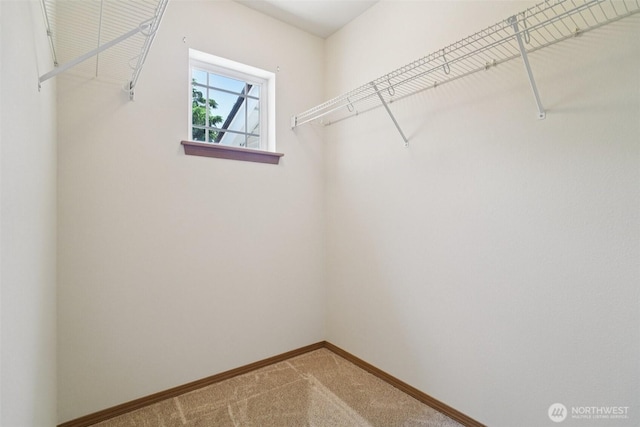 2419 S Meridian Unit B8, Puyallup, WA 98373 - spacious closet with carpet
