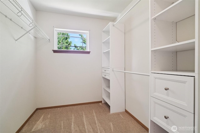 2419 S Meridian Unit B8, Puyallup, WA 98373 - walk in closet with light colored carpet