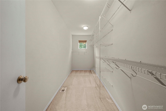 spacious closet featuring light colored carpet