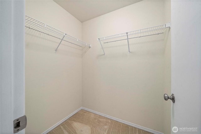 spacious closet with light carpet