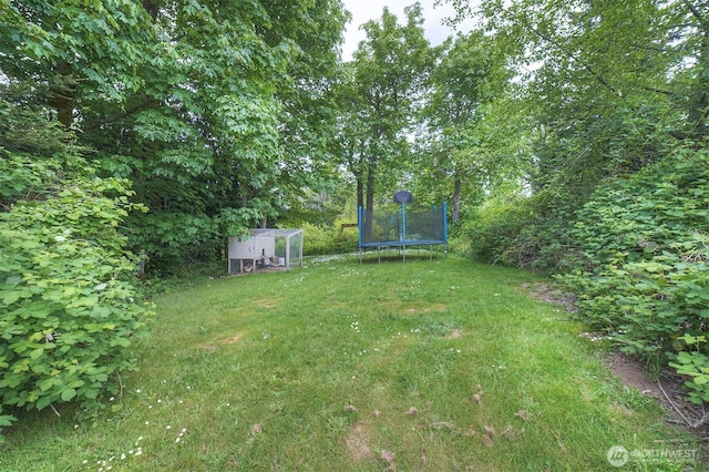 2660 NW Canal View Way, Poulsbo, WA 98370 - view of grassy yard with a trampoline, an outbuilding, and exterior structure