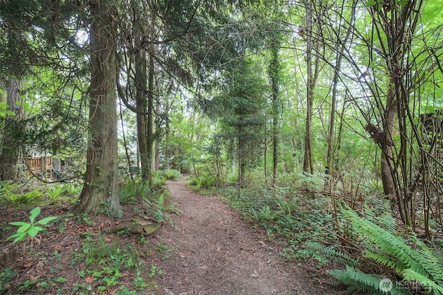 2660 NW Canal View Way, Poulsbo, WA 98370 - view of tree filled area