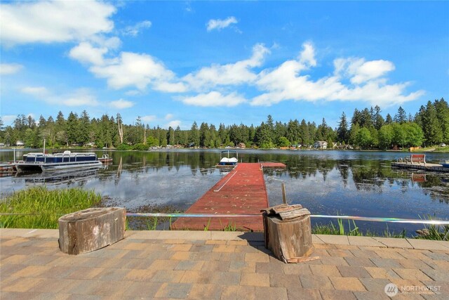 32325 Whitman Lake Dr E, Graham, WA 98338 - photo 19