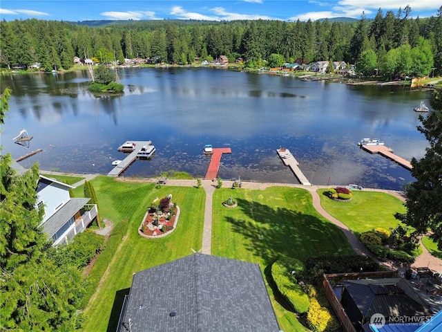 32325 Whitman Lake Dr E, Graham, WA 98338 - photo 28