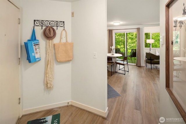 700 Front St S Unit D106, Issaquah, WA 98027 - corridor featuring wood finished floors and baseboards