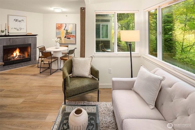 700 Front St S Unit D106, Issaquah, WA 98027 - living area with a fireplace, light wood-style floors, and baseboards