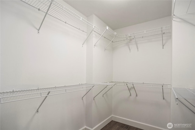 1420 Mitchell Rd, Lake Stevens, WA 98258 - walk in closet featuring dark wood-type flooring