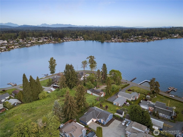 1420 Mitchell Rd, Lake Stevens, WA 98258 - aerial overview of property's location with a large body of water, nearby suburban area, and a heavily wooded area