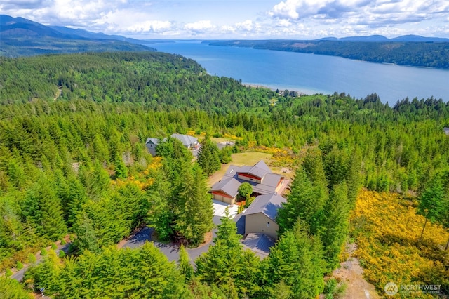 790 N Hamma Ridge Dr, Lilliwaup, WA 98555 - aerial view of property and surrounding area featuring a forest and a water and mountain view