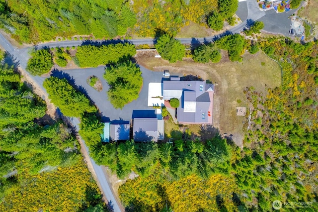 790 N Hamma Ridge Dr, Lilliwaup, WA 98555 - bird's eye view