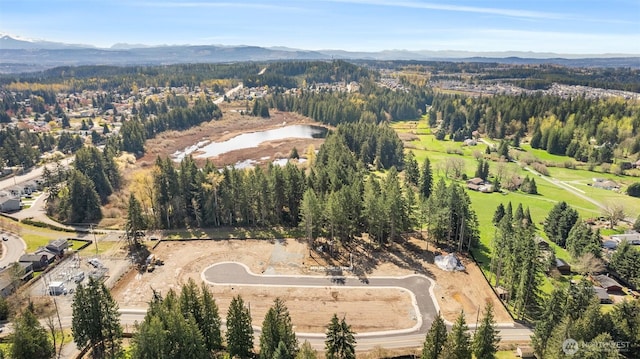 19439 116th St E, Bonney Lake, WA 98391 - aerial view of property and surrounding area with a water and mountain view and a forest