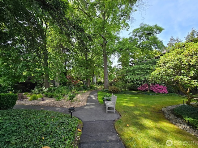 1524 NE 140th Unit D2, Seattle, WA 98125 - view of home's community featuring a yard