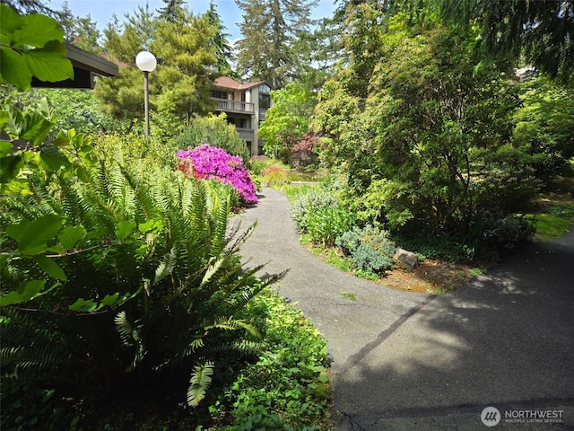 1524 NE 140th Unit D2, Seattle, WA 98125 - view of yard