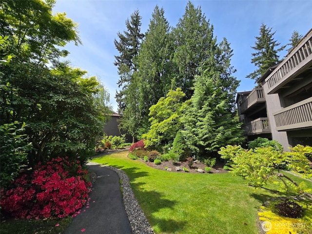 1524 NE 140th Unit D2, Seattle, WA 98125 - view of green lawn