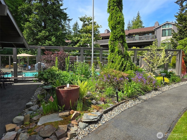 1524 NE 140th Unit D2, Seattle, WA 98125 - view of yard with an outdoor pool and a patio area