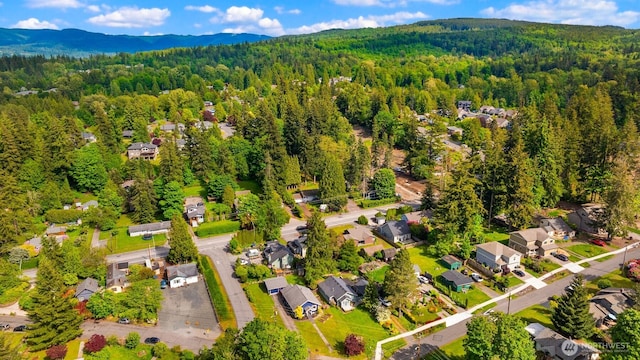 2404 Old Lakeway Dr, Bellingham, WA 98229 - aerial view of residential area featuring a heavily wooded area and a mountain backdrop