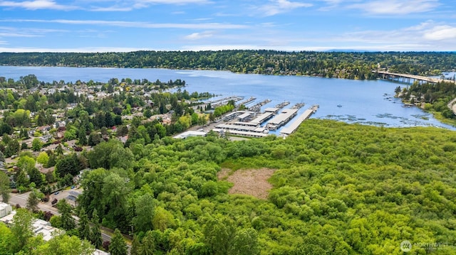 3716 Lake Washington Blvd SE Unit C, Bellevue, WA 98006 - aerial view of a nearby body of water and a heavily wooded area