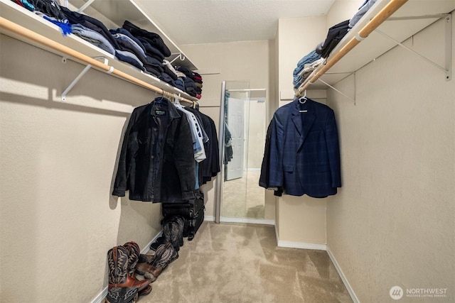 3716 Lake Washington Blvd SE Unit C, Bellevue, WA 98006 - walk in closet featuring carpet