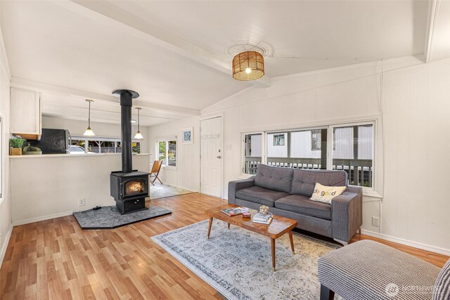 316 W Lake Samish Dr Unit 21, Bellingham, WA 98229 - living room with a wood stove, wood finished floors, and baseboards