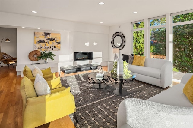 5802 43rd Ave NE, Seattle, WA 98105 - living area with wood finished floors, recessed lighting, and a glass covered fireplace