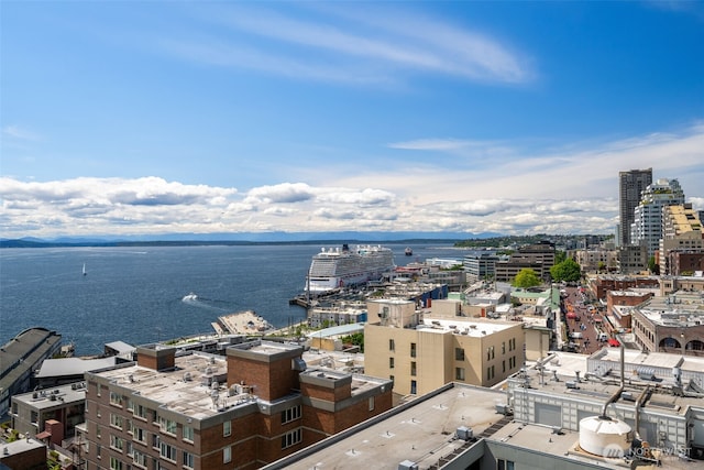 98 Union St Unit 1210, Seattle, WA 98101 - photo 32