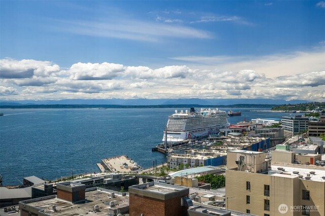 98 Union St Unit 1210, Seattle, WA 98101 - photo 33