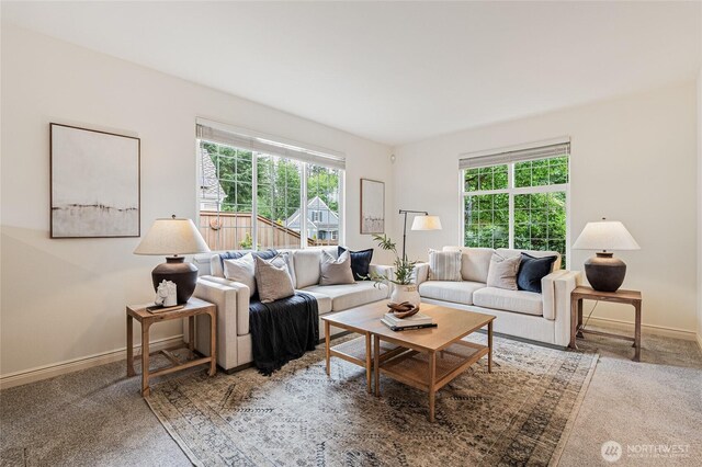 16306 18th Dr SE, Mill Creek, WA 98012 - photo 5