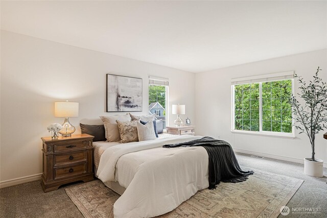 16306 18th Dr SE, Mill Creek, WA 98012 - photo 22