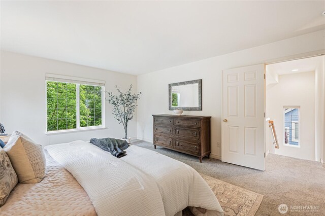 16306 18th Dr SE, Mill Creek, WA 98012 - photo 25