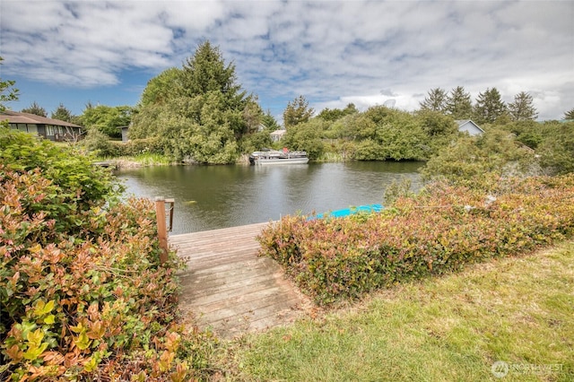 184 S Razor Clam Dr SW, Ocean Shores, WA 98569 - water view with a boat dock