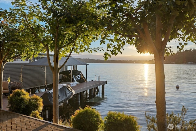 3711 Lake Washington Blvd N, Renton, WA 98056 - dock with a water view and boat lift