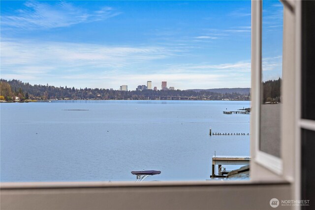 3711 Lake Washington Blvd N, Renton, WA 98056 - water view