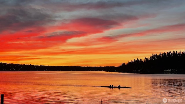 3711 Lake Washington Blvd N, Renton, WA 98056 - water view