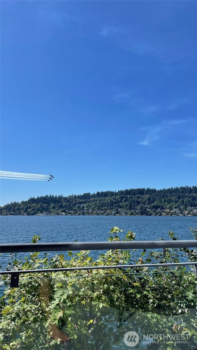 3711 Lake Washington Blvd N, Renton, WA 98056 - water view featuring a forest