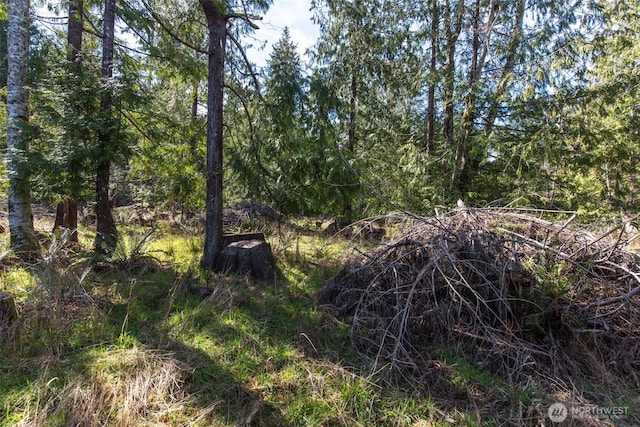 0 Colville Rd, Port Angeles, WA 98362