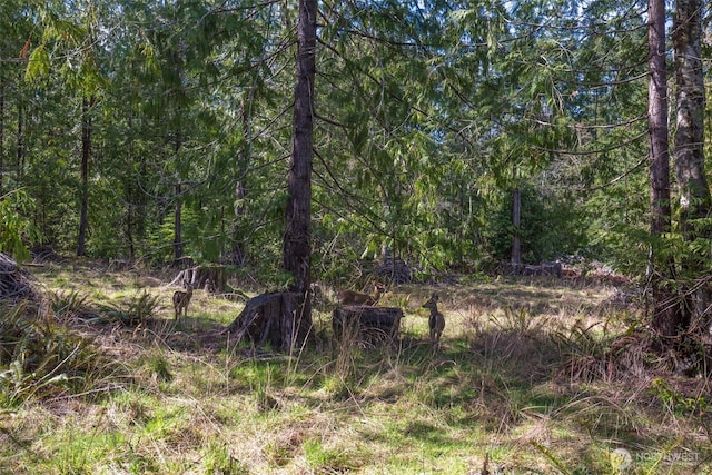 0 Colville Rd, Port Angeles, WA 98362