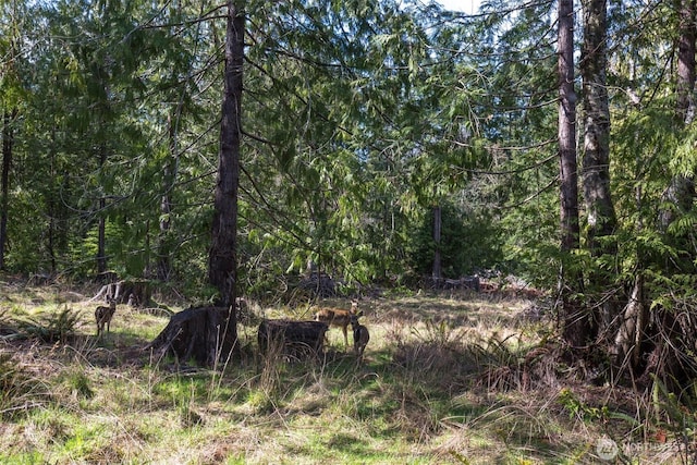 0 Colville Rd, Port Angeles, WA 98362
