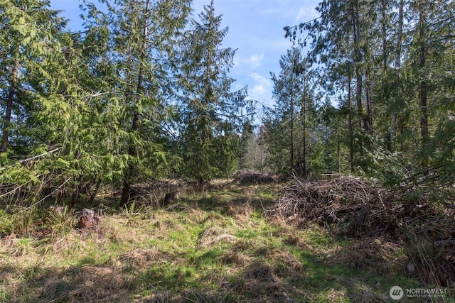 0 Colville Rd, Port Angeles, WA 98362