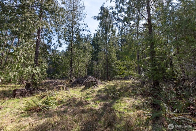 0 Colville Rd, Port Angeles, WA 98362