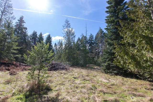 0 Colville Rd, Port Angeles, WA 98362