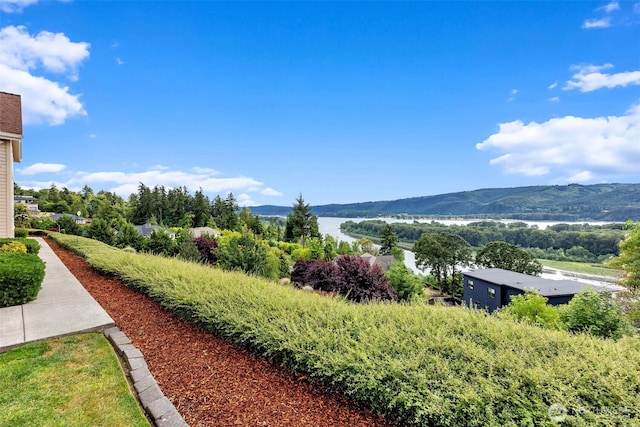 60 Trenton Ln, Kelso, WA 98626 - photo 35