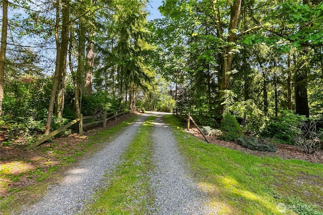 9111 Custer School Rd, Custer, WA 98240 - view of dirt / gravel road
