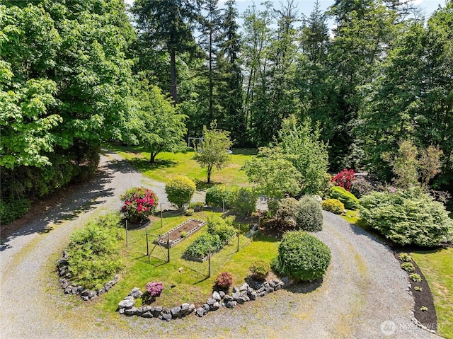 9111 Custer School Rd, Custer, WA 98240 - view of yard featuring a vegetable garden