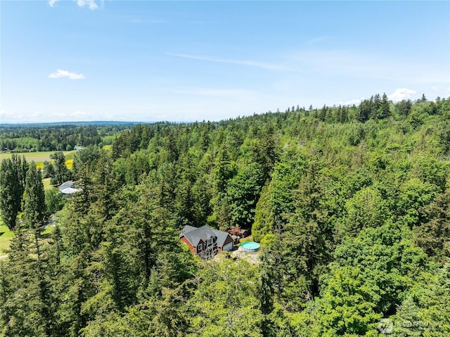 9111 Custer School Rd, Custer, WA 98240 - aerial view of property and surrounding area featuring a heavily wooded area
