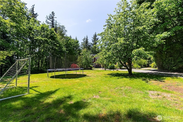 9111 Custer School Rd, Custer, WA 98240 - view of green lawn featuring a trampoline