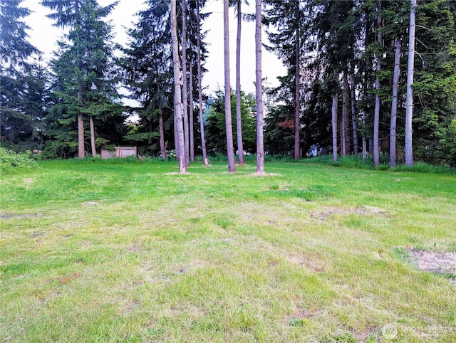 8927 178th Ave SW, Rochester, WA 98579 - view of yard