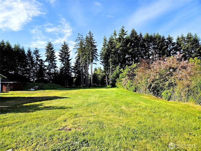 8927 178th Ave SW, Rochester, WA 98579 - view of green lawn